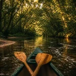 Canoë Gironde sur la Leyre sauvage, pagaies et lumière au coucher du soleil