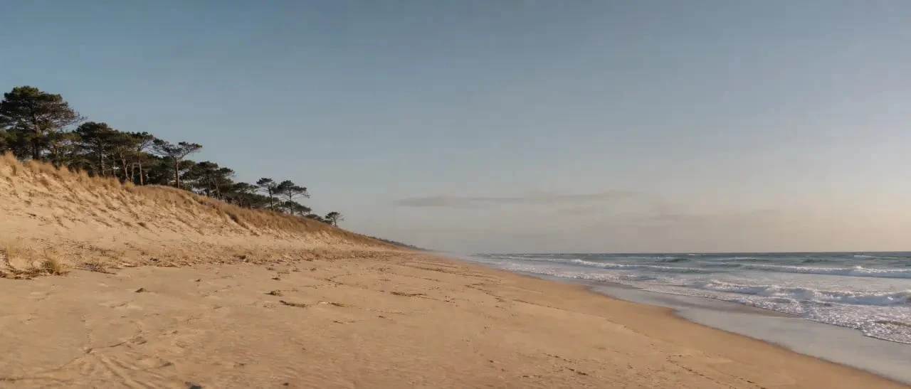 Plage du Vivier à Biscarrosse, vue panoramique entre dune, forêt de pins et océan Atlantique