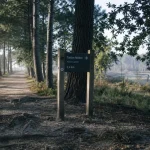 Forêt du taillan médoc, sentier sportif en forêt