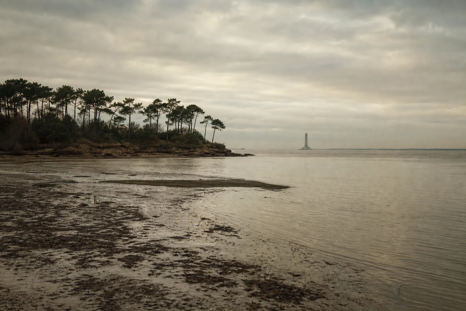 Plages, châteaux et bonnes adresses : le guide du Médoc, entre océan et vignoble.