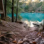 lac bleu gironde à Léognan, sentier vers le lac bleu