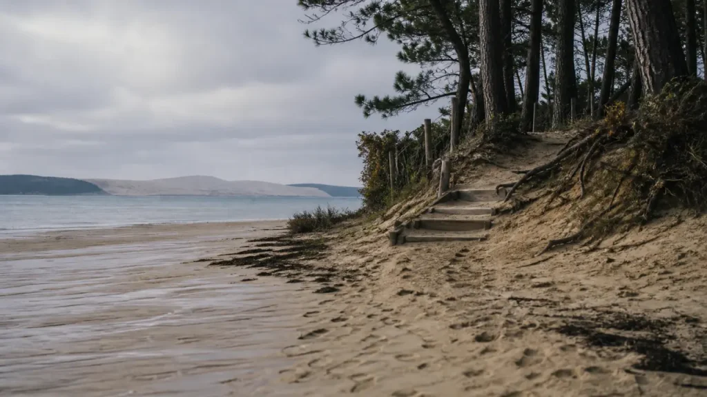 Plage des américains cap ferret : vue Dune du Pilat depuis l’estran