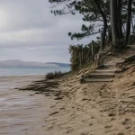 Plage des américains cap ferret : vue Dune du Pilat depuis l’estran