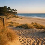 Plage du vivier à Biscarrosse : sentier sablonneux vers la dune et l’Atlantique