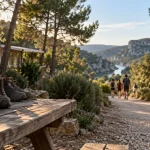 Camping Verdon Les Grands Domaines : allée gravier vers les Basses Gorges, pins et mobil-homes
